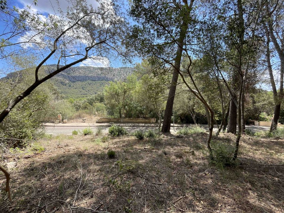 Helårsgrund i Sa Pobla, Mallorca - foto 2