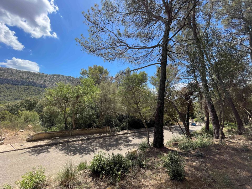 Helårsgrund i Sa Pobla, Mallorca - foto 5