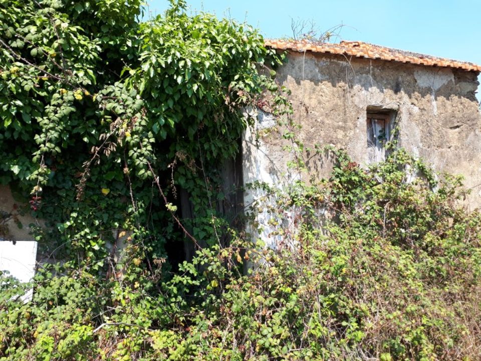Helårsgrund i Sintra, Lisbon - foto 5