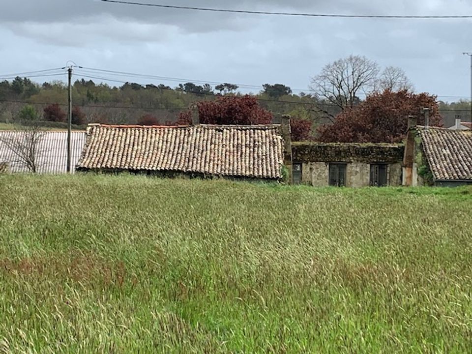 Helårsgrund i Saint-Bonnet-Sur-Gironde, Charente-Maritime - foto 4