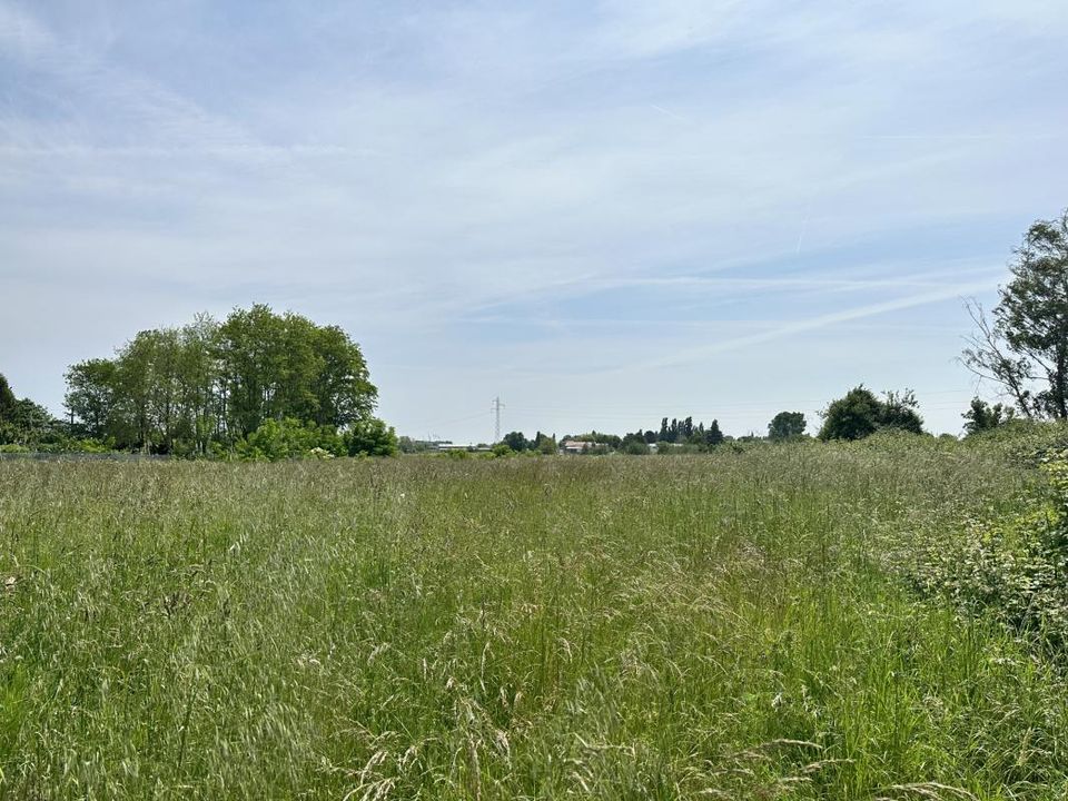 Helårsgrund i Boutenac-Touvent, Charente-Maritime - foto 1