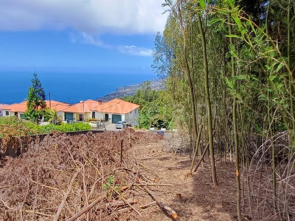 Helårsgrund i Ribeira Brava, Madeira - foto 3