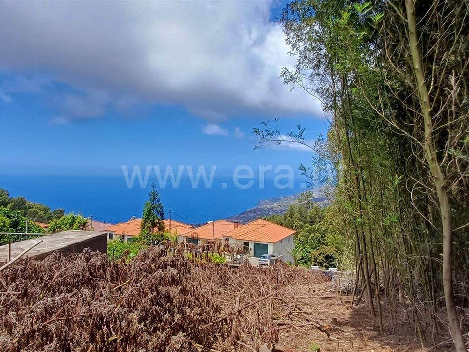 Helårsgrund i Ribeira Brava, Madeira - foto 4