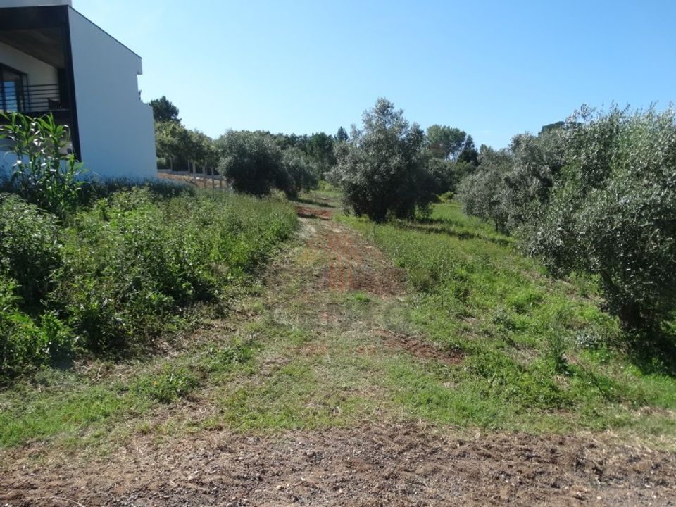 Helårsgrund i Boa Vista, Leiria - foto 3