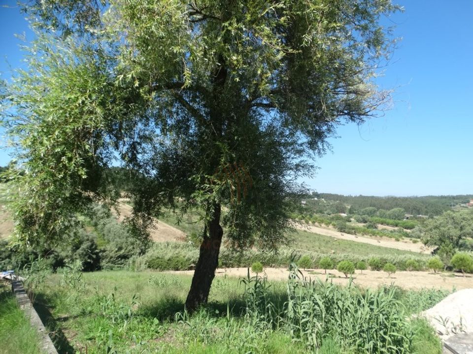 Helårsgrund i Boa Vista, Leiria - foto 4