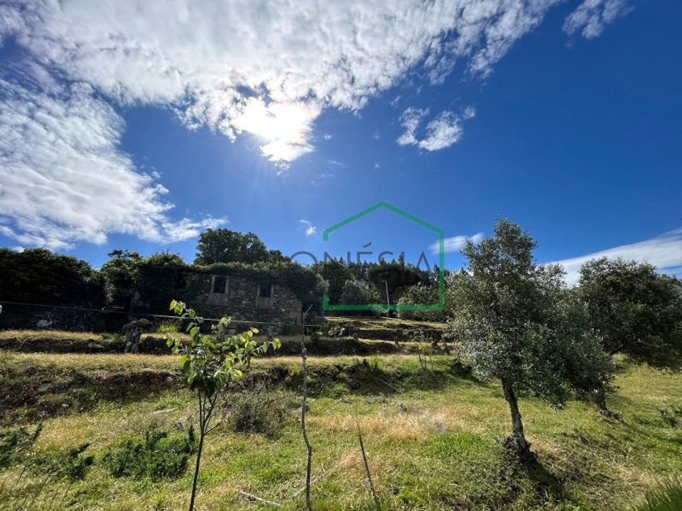 Ruinere i Caminha, Viana do Castelo - foto 1