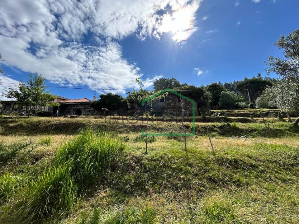 Ruinere i Caminha, Viana do Castelo - foto 3