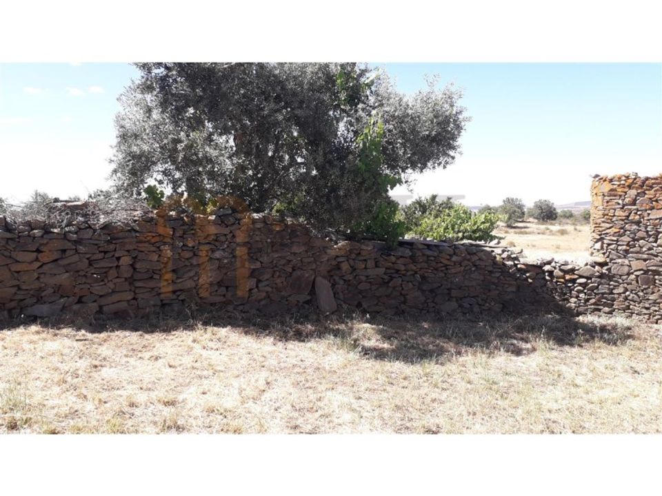 Landejendom i Beja, Beja - foto 2
