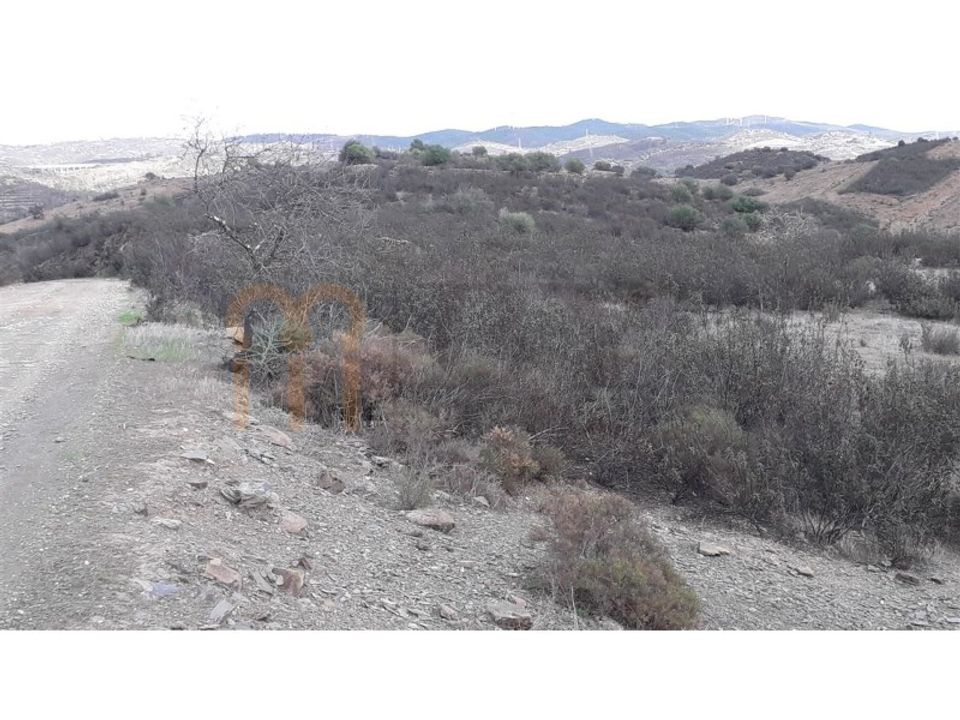 Tomt i Beja, Beja - bilde 2