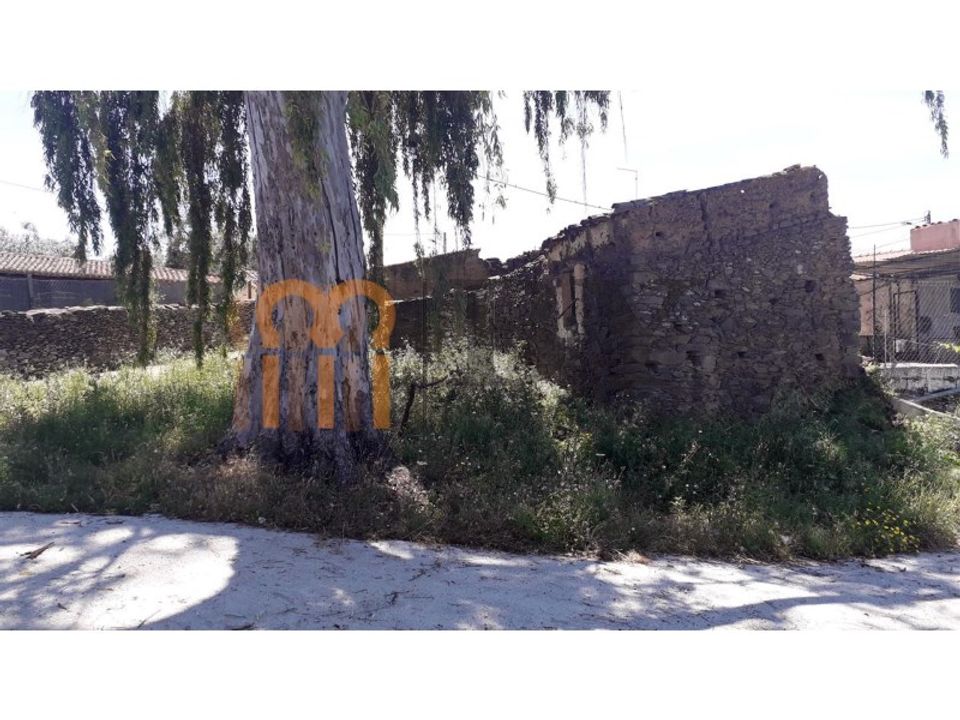Farm i Beja, Beja - foto 1