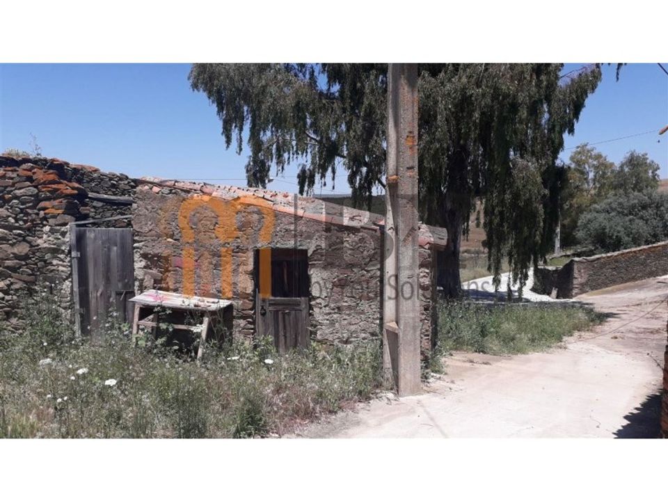 Farm i Beja, Beja - foto 3