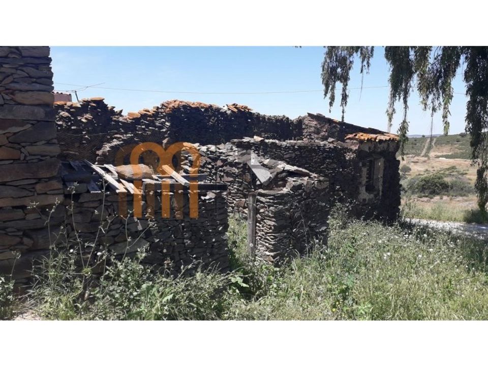 Farm i Beja, Beja - foto 4