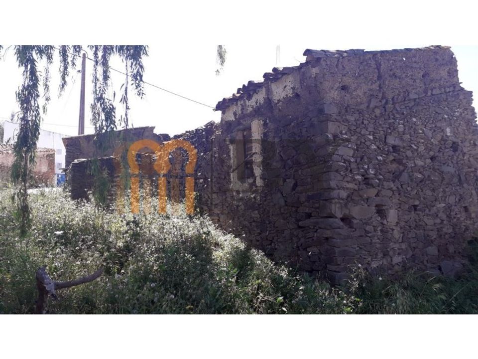 Farm i Beja, Beja - foto 5