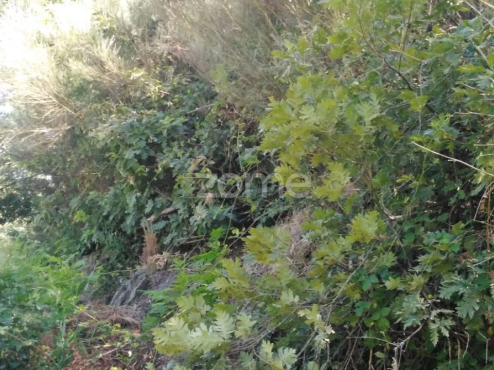 Helårsgrund i Sameice e Santa Eulalia, Guarda - foto 3