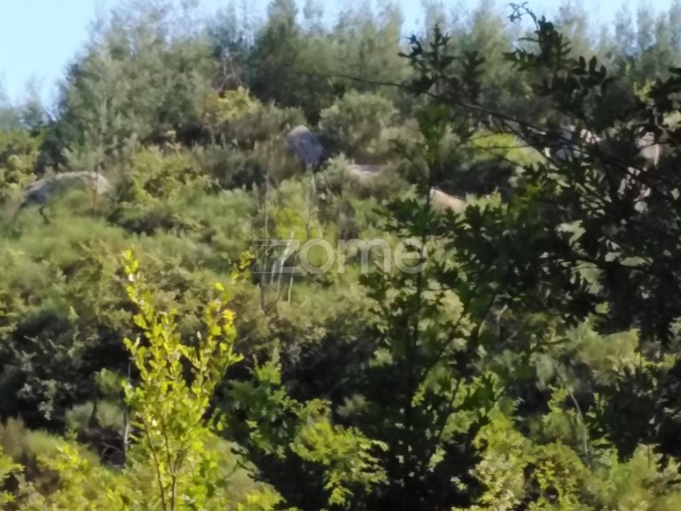 Helårsgrund i Sameice e Santa Eulalia, Guarda - foto 5