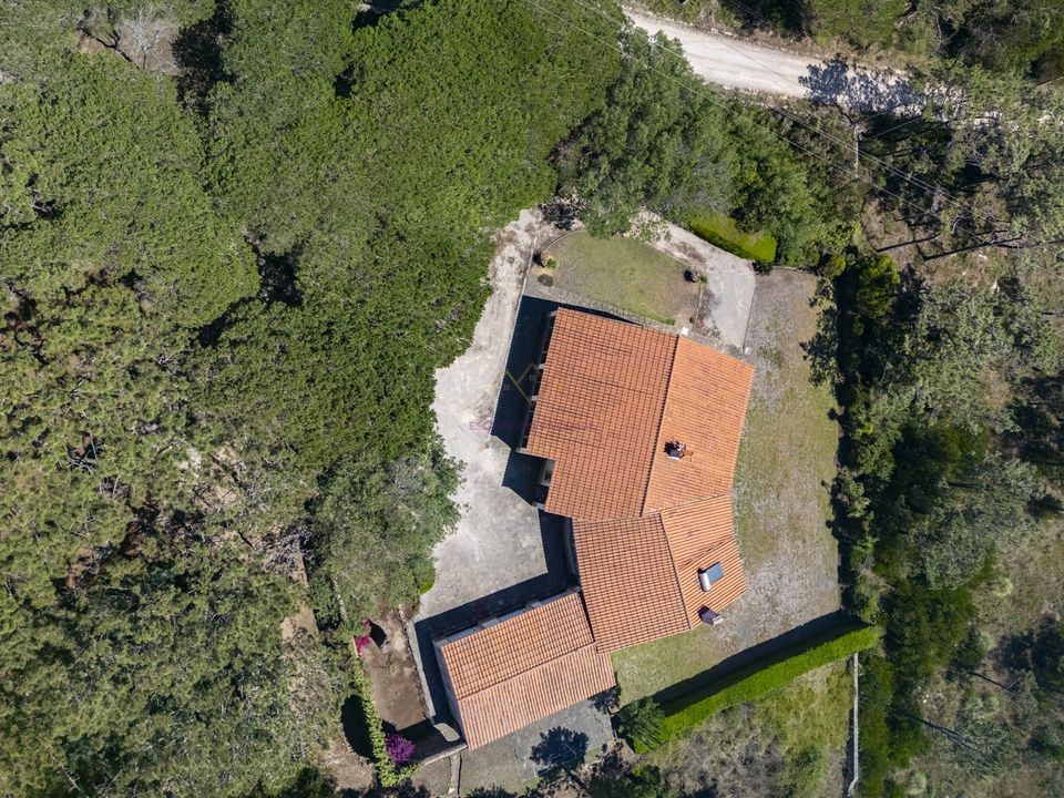 Villa i Sintra, Lisbon - foto 5