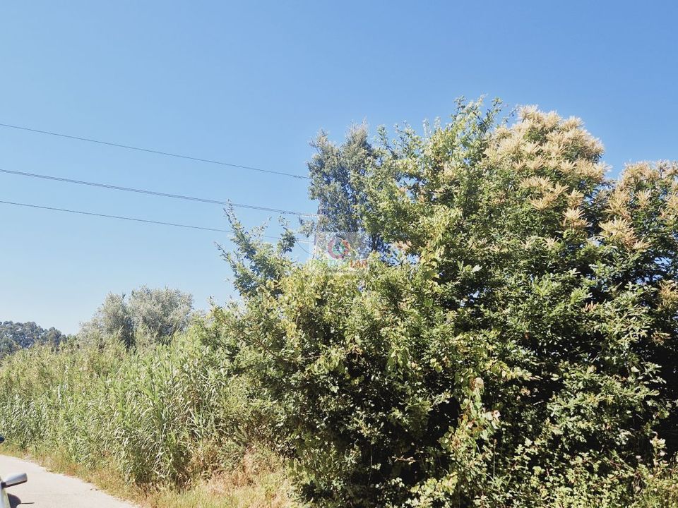 Helårsgrund i Oliveira do Bairro, Aveiro - foto 3