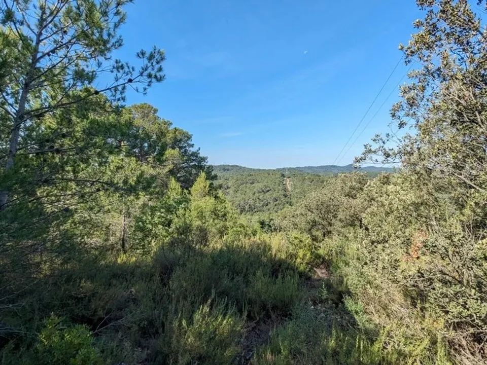 Działka: Carcès, Var – zdjęcie 3