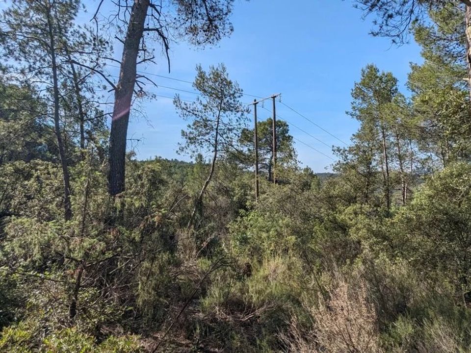 Działka: Carcès, Var – zdjęcie 4