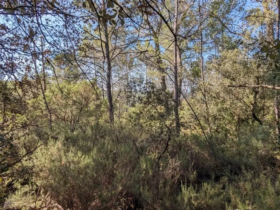 Działka: Carcès, Var – zdjęcie 2