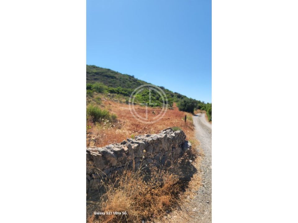 Helårsgrund i Santa Barbara de Nexe, Faro - foto 3
