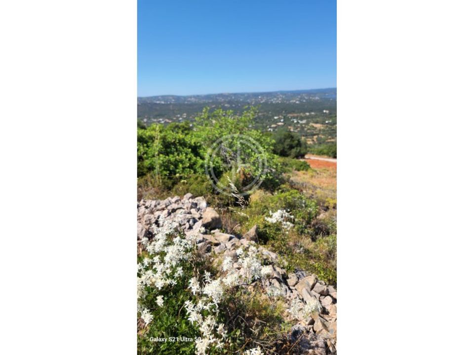 Helårsgrund i Santa Barbara de Nexe, Faro - foto 5