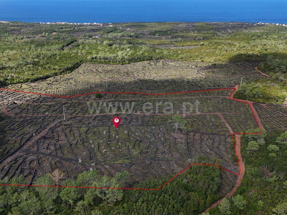 Helårsgrund i Sao Roque do Pico, Pico - foto 3