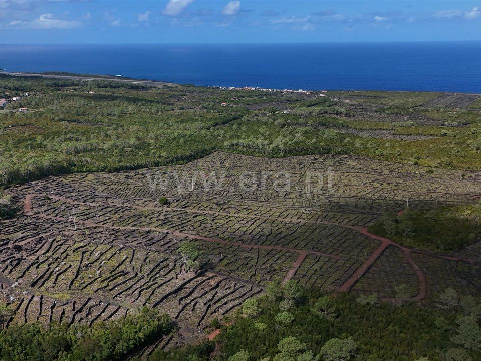Helårsgrund i Sao Roque do Pico, Pico - foto 4