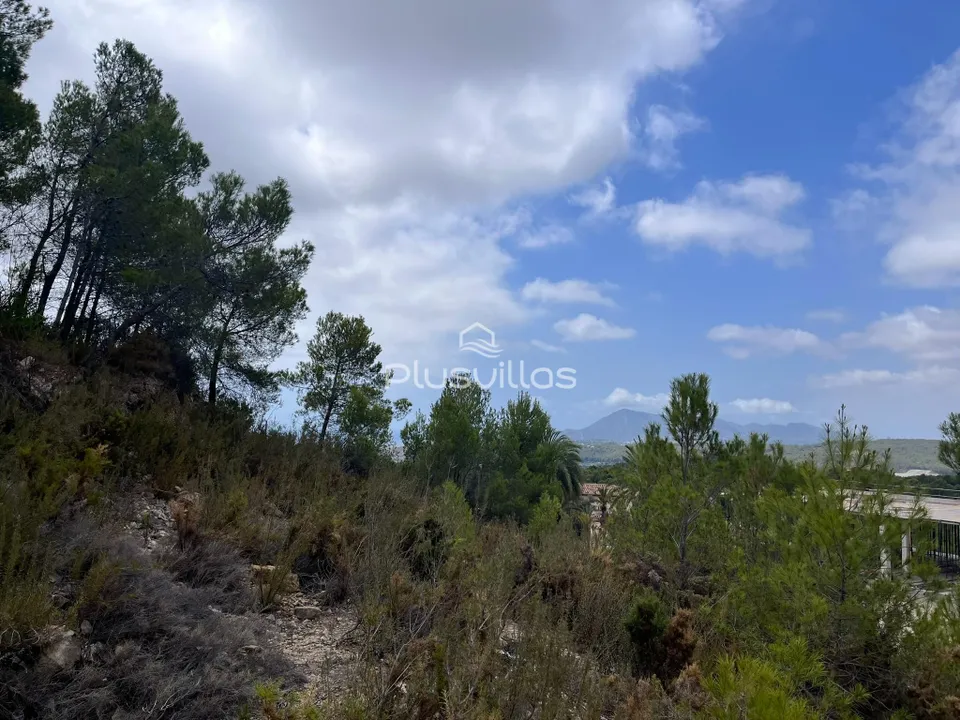 Terra a Callosa D'en Sarria, Alicante - foto 4