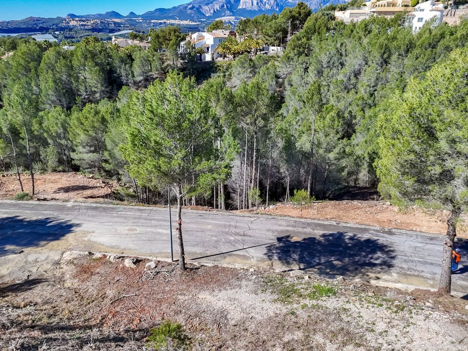 Helårsgrund i Callosa D'en Sarria, Alicante - foto 3