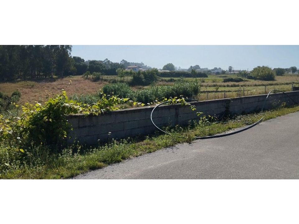 Helårsgrund i Souto da Carpalhosa e Ortigosa, Leiria - foto 1