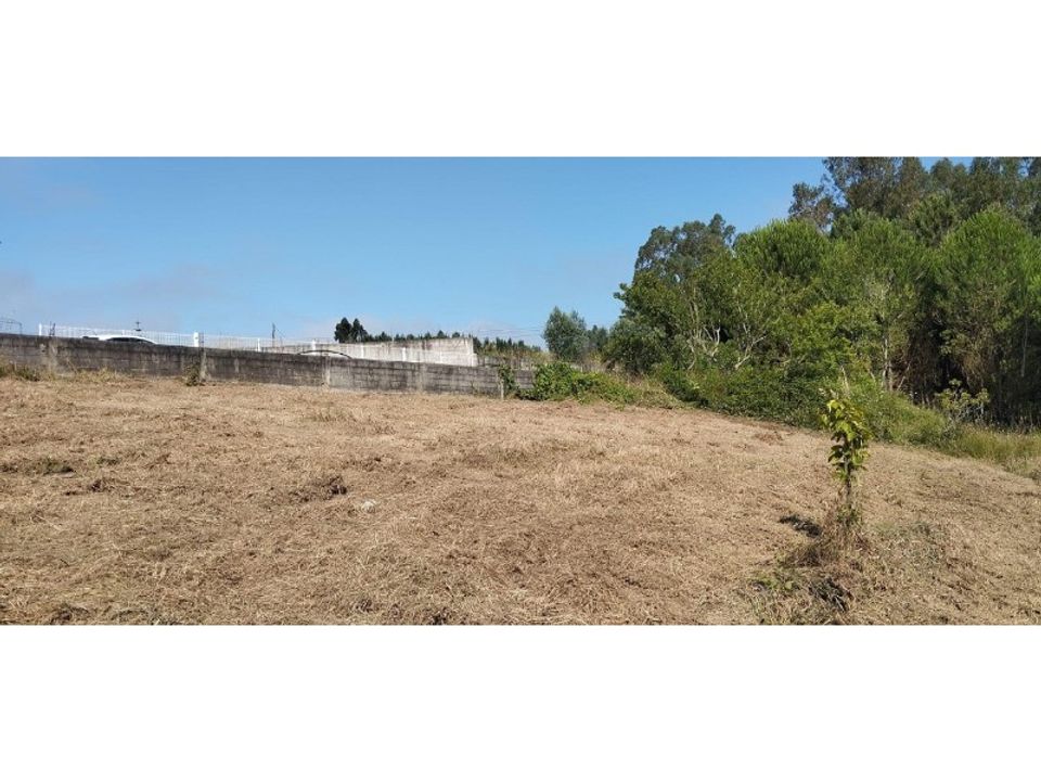 Helårsgrund i Souto da Carpalhosa e Ortigosa, Leiria - foto 3