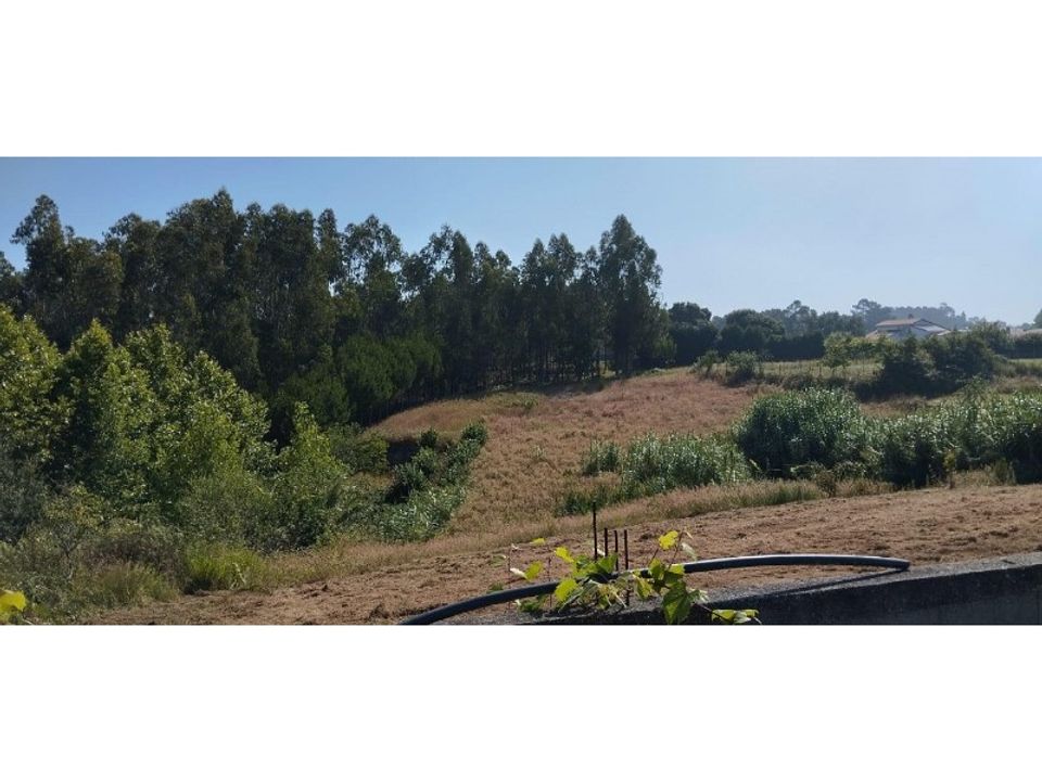 Helårsgrund i Souto da Carpalhosa e Ortigosa, Leiria - foto 4