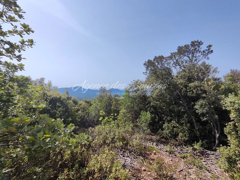 Tomt i Tavernes, Var - bilde 3