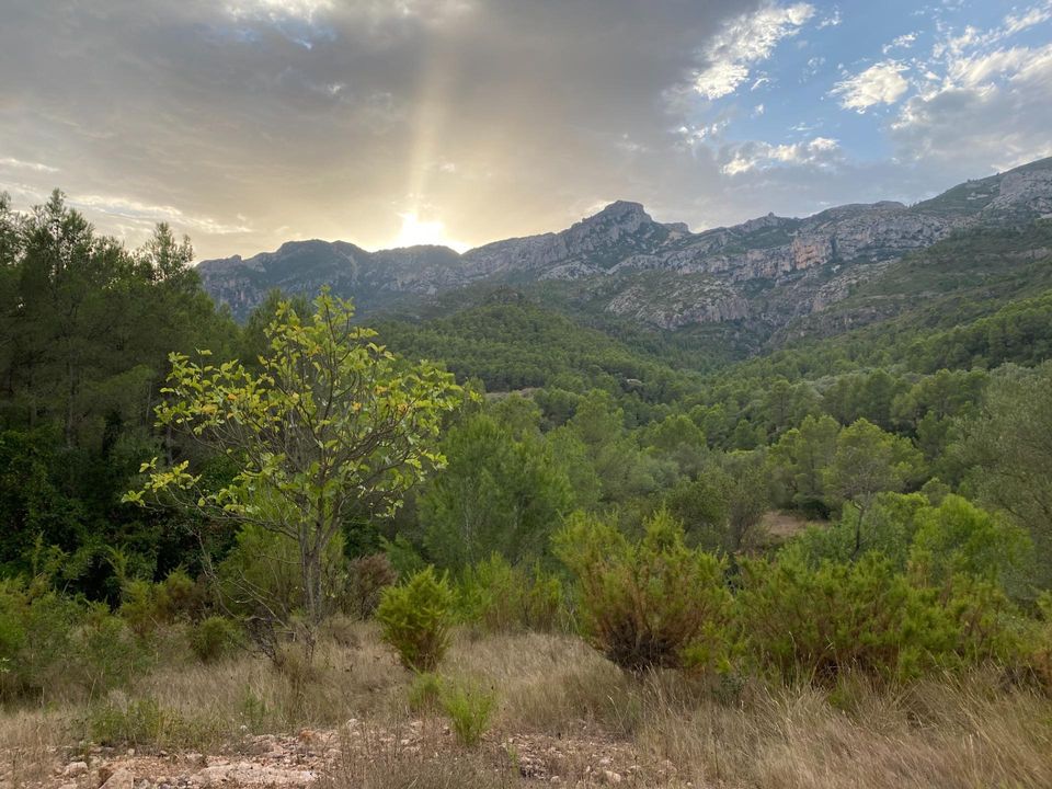 Helårsgrund i Alfara De Carles, Tarragona - foto 2