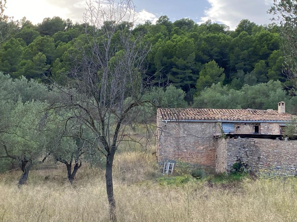 Helårsgrund i Alfara De Carles, Tarragona - foto 3