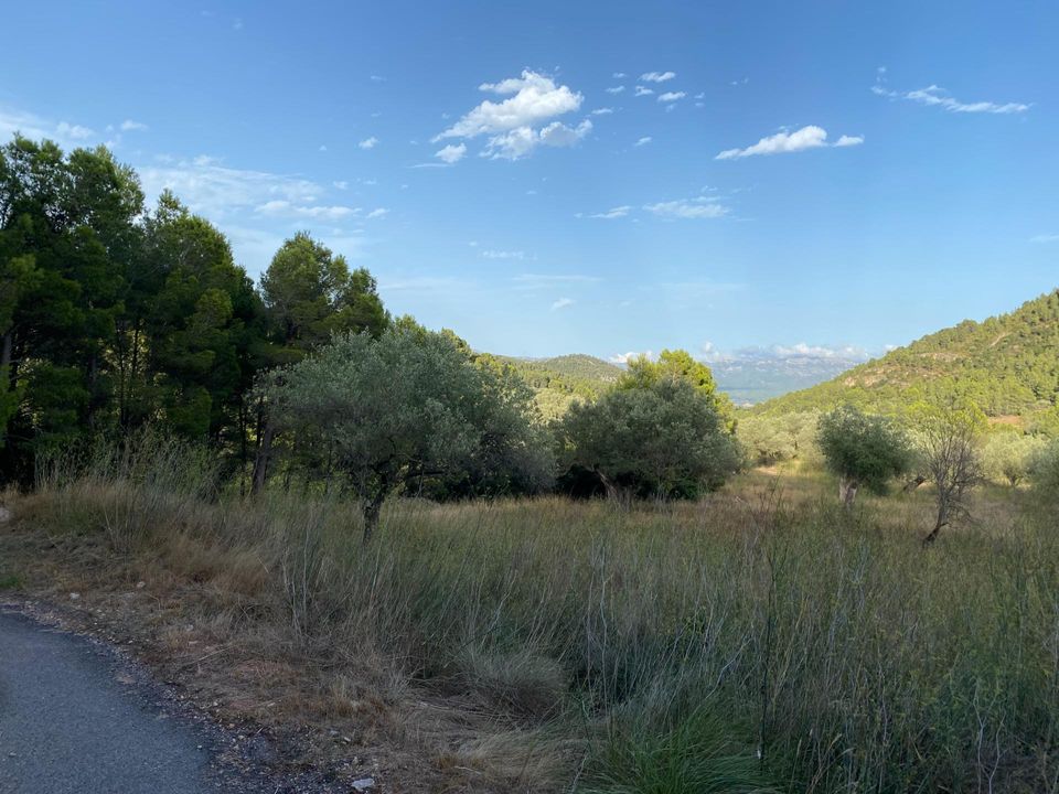 Helårsgrund i Alfara De Carles, Tarragona - foto 4
