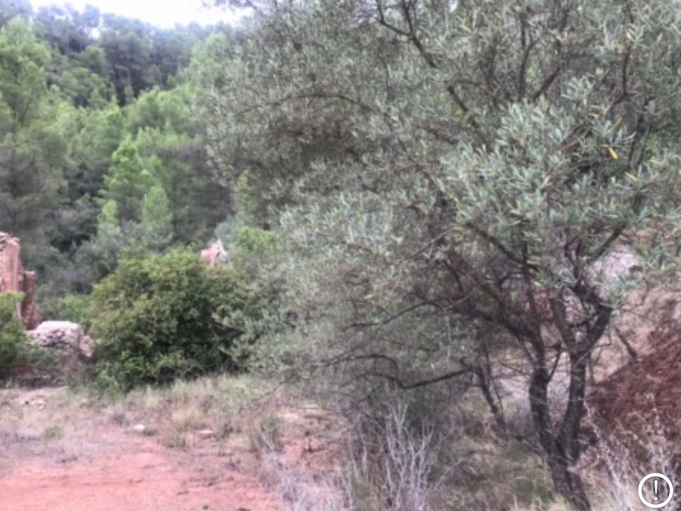 Finca i Benifallet, Tarragona - foto 5
