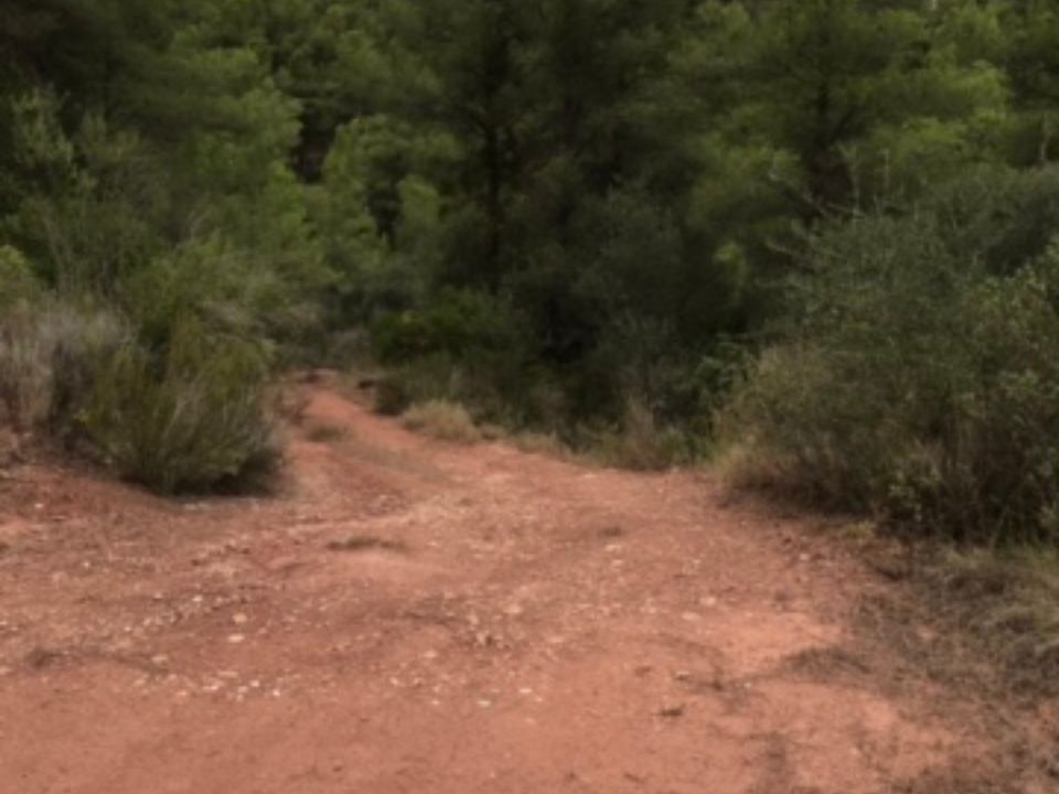 Finca i Benifallet, Tarragona - foto 3