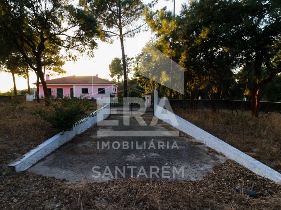 Helårsgrund i Chamusca, Santarem - foto 2