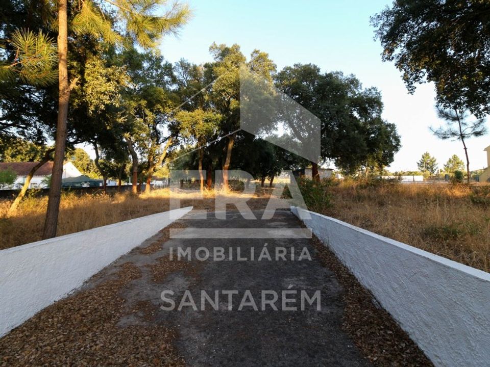 Helårsgrund i Chamusca, Santarem - foto 3