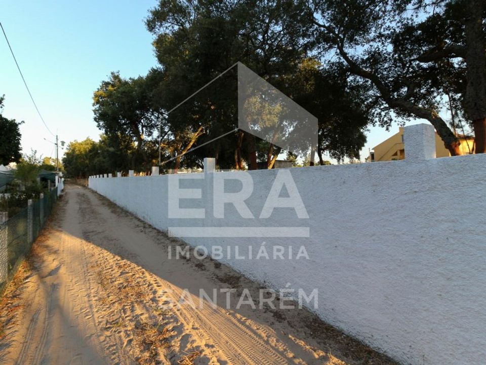 Helårsgrund i Chamusca, Santarem - foto 5