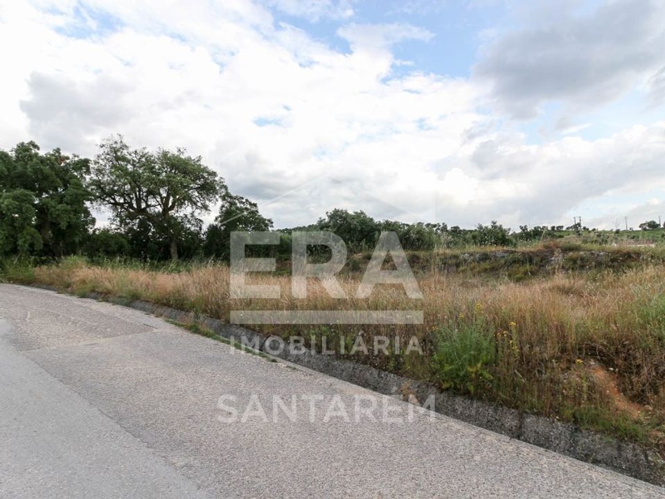 Działka: Chamusca, Santarem – zdjęcie 2