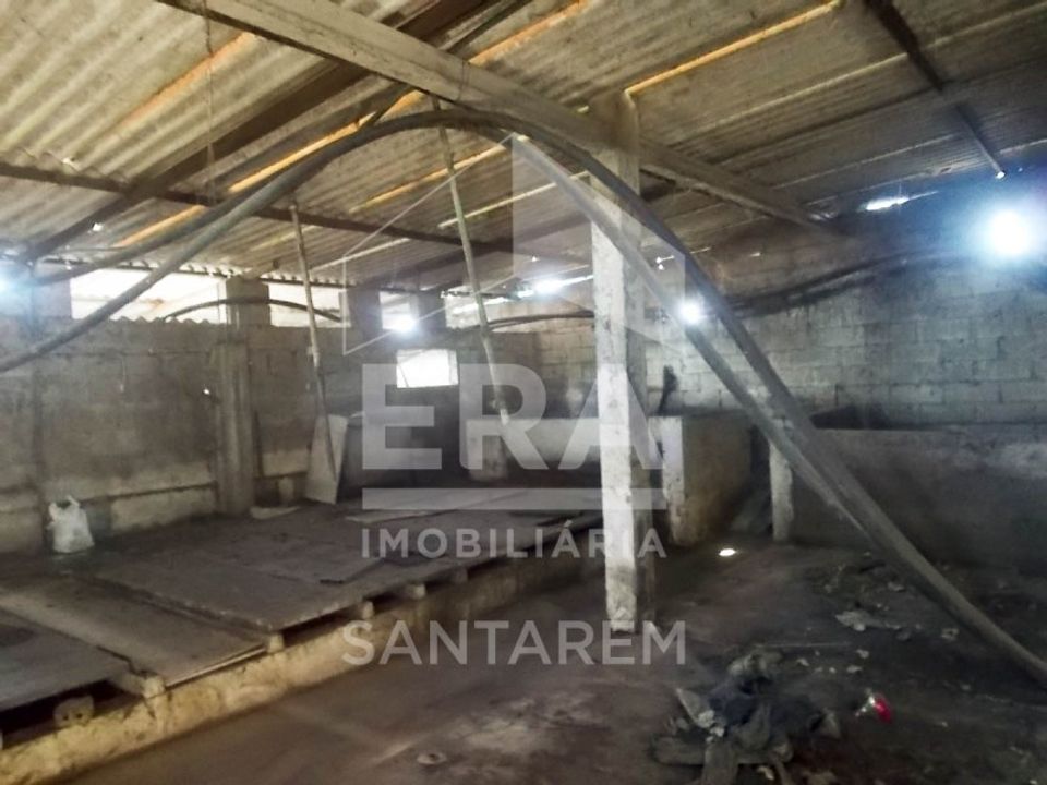 Helårsgrund i Azinhaga, Santarem - foto 4