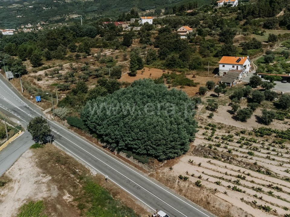 Helårsgrund i Covilha, Castelo Branco - foto 4