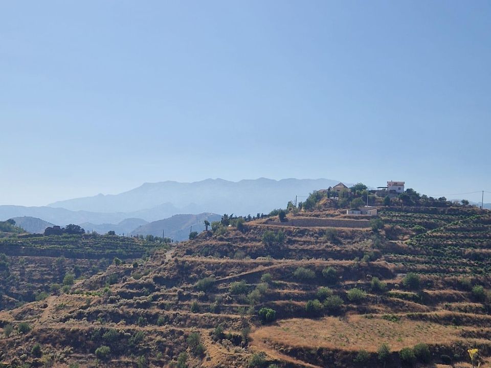 Helårsgrund i Itrabo, Granada - foto 4
