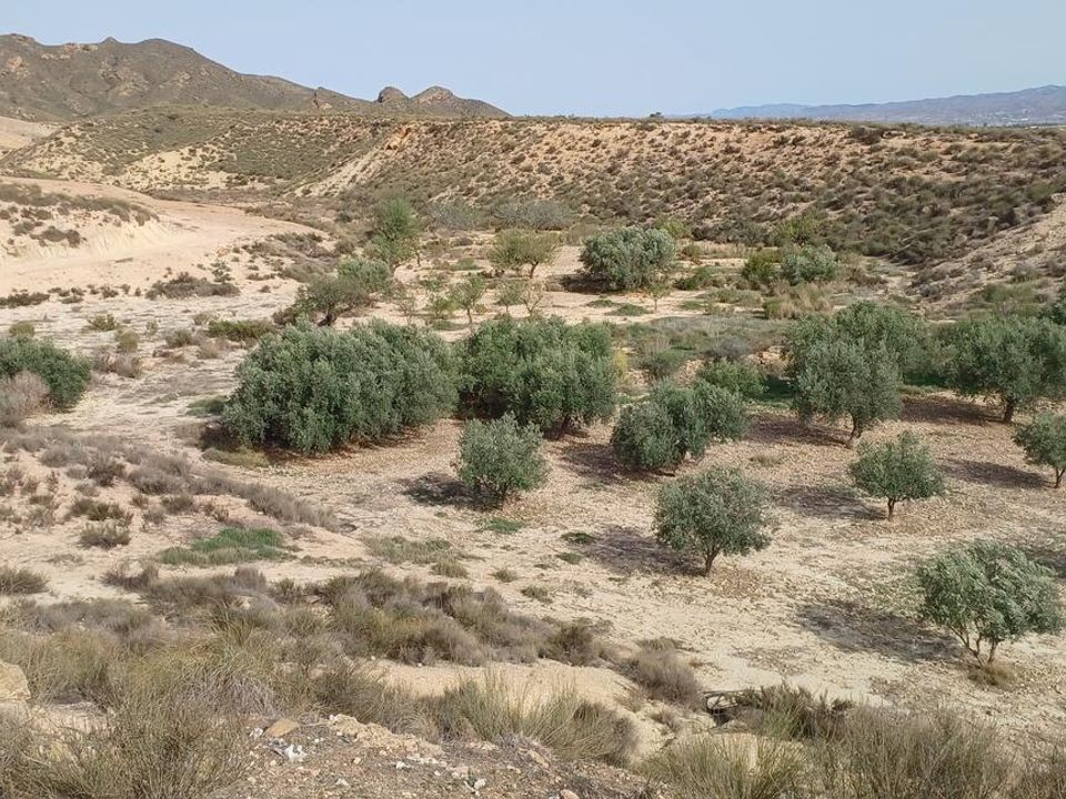 Masia a Cuevas del Almanzora, Almeria - foto 4