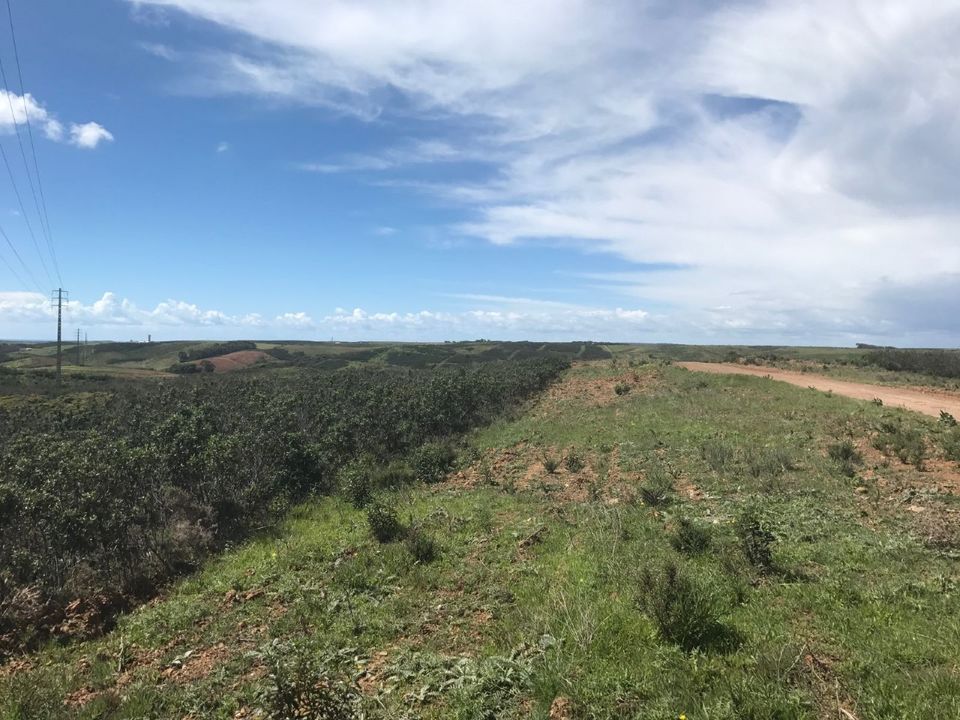 Helårsgrund i Sagres, Faro - foto 2