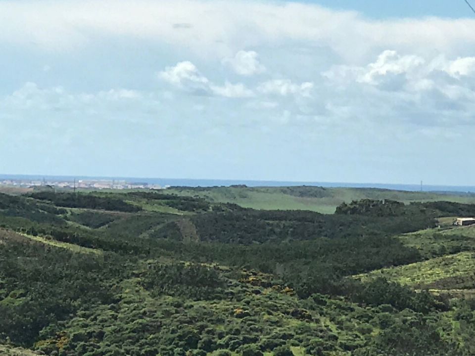 Helårsgrund i Sagres, Faro - foto 5