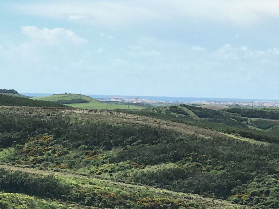Helårsgrund i Sagres, Faro - foto 4